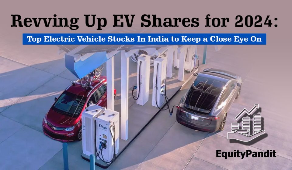 EV share 2024 in India